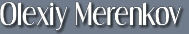 web developer
